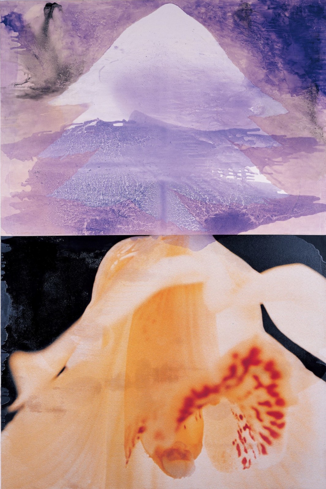 花の心臓／蘭、紫の雲
